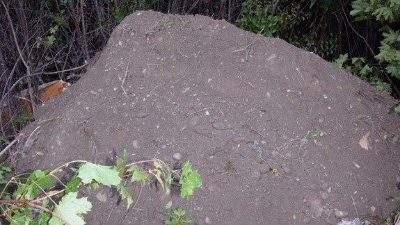 Polícia navrhla obžalovať muža, mal vysypať odpad na cudzom pozemku v Bratislave