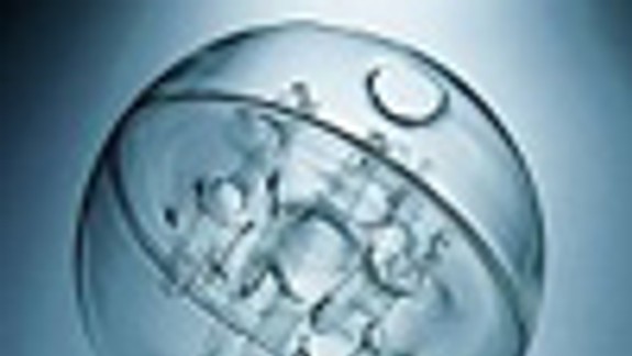 Šperky Evy Eisler vyzdobia České centrum