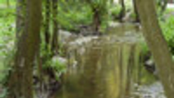 Železnú studničku chcú prestavať a zrekonštruovať