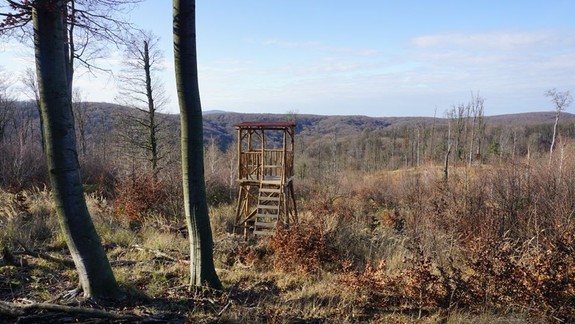 Dobrá správa pre turistov: V lesoparku pribudla vyhliadka, z ktorej možno uvidíte i muflóny