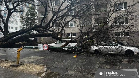 Bajzovu ulicu pre spadnutý strom uzavreli