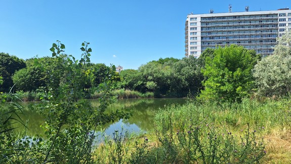 Okolie jazera Rohlík plánujú začať revitalizovať v roku 2025