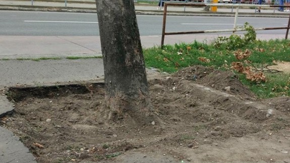 FOTO: Ružinovčania si svojpomocne upravili okolie zastávky