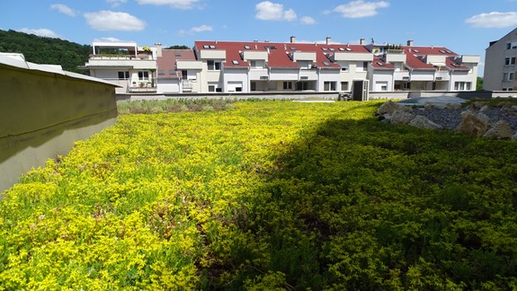 Úrad v Karlovej Vsi pokrýva priekopnícka zelená strecha