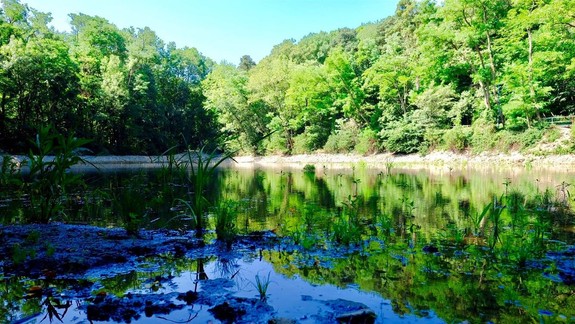 Mesto zrekonštruovalo dva rybníky na Železnej studienke