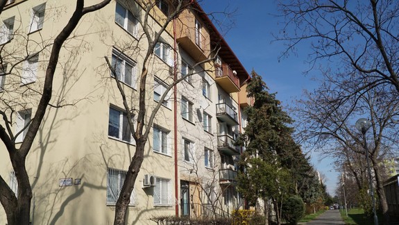 FOTO: Do Bratislavy prišla jar už v predstihu - pozrite sa, ako krásne všetko okolo nás rozkvitá!