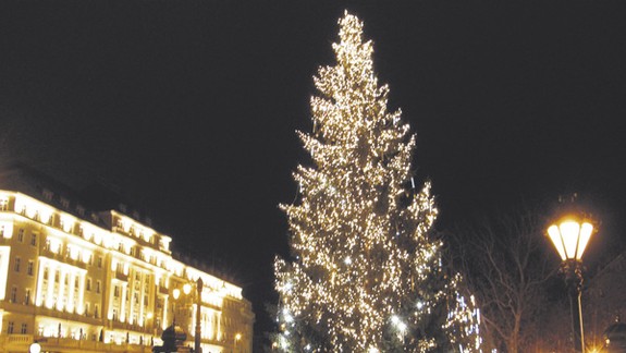 Staromestské trhy zdobí najvyšší strom