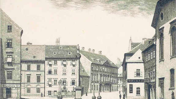 Zničia stromy ďalšiu kultúrnu pamiatku?