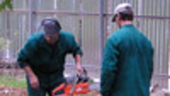 V parku na Belopotockého začali rúbať stromy