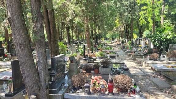 Liga za duševné zdravie: Pocit hlbokého smútku pomáha našej psychike integrovať prežitú bolesť