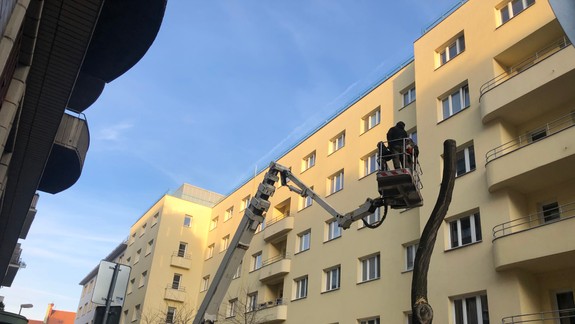 Obyvatelia sú v šoku: Na Heydukovej vyrúbali staršie stromy