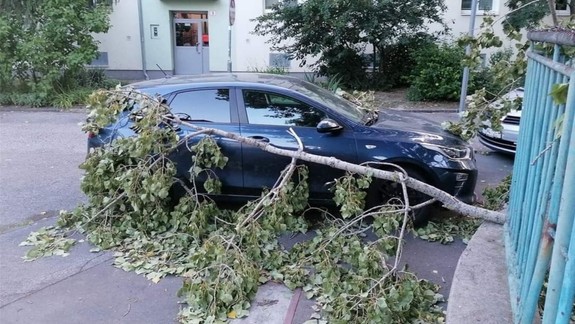 V Bratislave silno fúka. Čo znamená výstraha 2. stupňa?