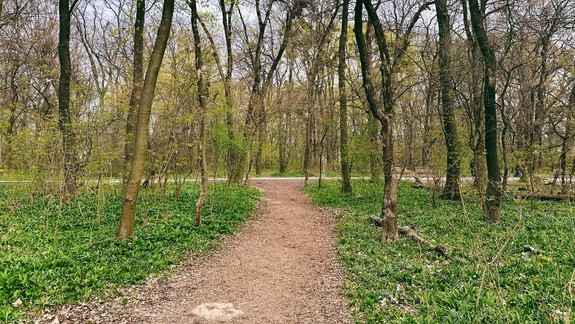 Všimli ste si nové chodníky v ovsištskom lesíku?