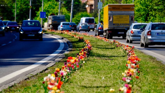 Na vjazdoch do Bratislavy a aj v meste sa tvoria kolóny - kde sa najviac zdržíte?