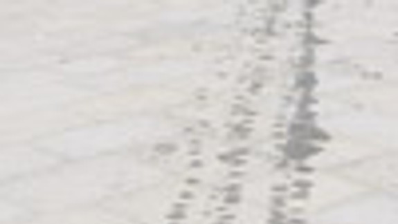 Neznámy vodič už stihol zašpiniť opravenú dlažbu