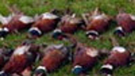 Vajnorskí poľovníci sa stretli na poľovačke