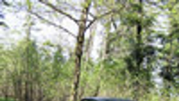 Kto zariadi, aby ľudia nechodili do lesa autami?