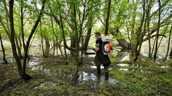 Boj proti komárom: Mesto zasahuje v Devínskej Novej Vsi, nasadilo aj dron