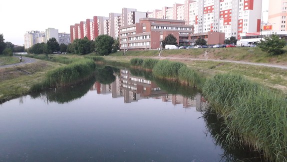 Cez Chorvátske rameno povedú štyri lávky. Vyhlásili na ne architektonickú súťaž