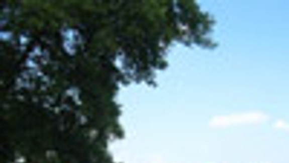 Bratislavská verejnosť o rozvoji Zlatých pieskov