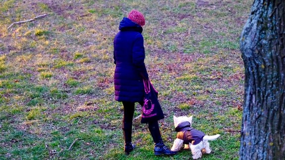 Zvierací obmudsman radí: Ako sa starať o domácich miláčikov v čase pandémie?