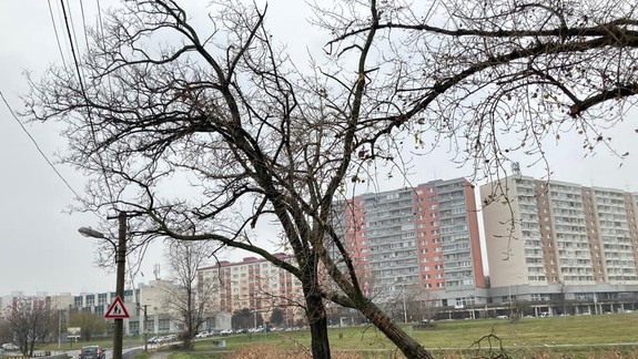 Pre výstavbu trate v Petržalke treba rátať s viacerými dopravnými obmedzeniami