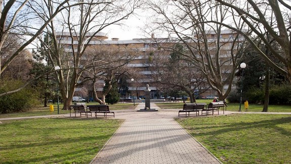 ANKETA: Ružinovské parky: Ktorý je ten "váš"?