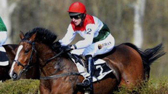 Víťazom Jarnej ceny Petržalky sa stal Quai Brany