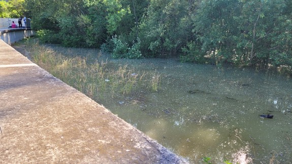 Vallo upozorňuje: Vyliate Dunaja a Moravy do záplavových území aktivuje liahniská komárov