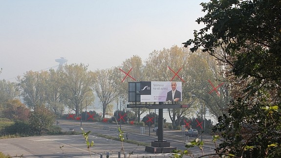 Pre výstavbu na Zuckermandli vyrúbu stromy na nábreží