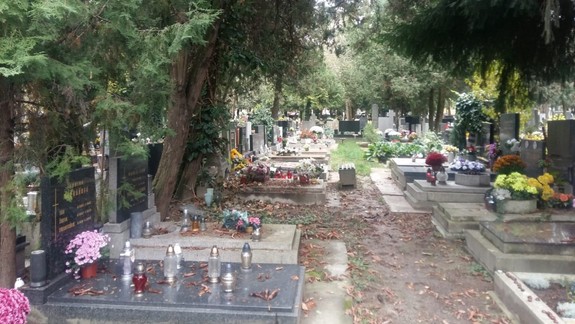 Zo studničky na cintoríne si spravili kúpalisko: Aj takýchto trúfalcov museli riešiť v bratislavskom pohrebníctve