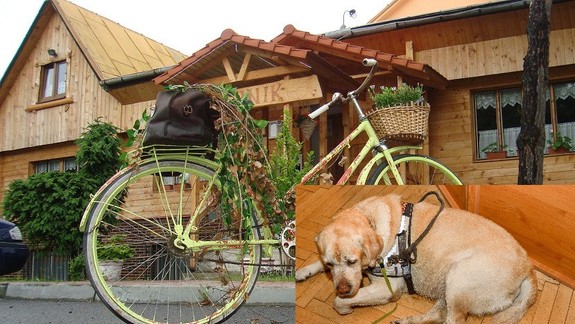 Aká je pravda v kauze motorestu, kde nepustili nevidiaceho chlapca s vodiacim psom?