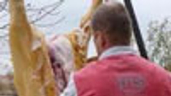 Ružinov čakajú cez víkend zabíjačkové slávnosti