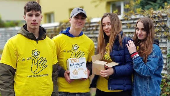 Boj proti rakovine: Prispieť do zbierky Deň narcisov sa dá už od pondelka