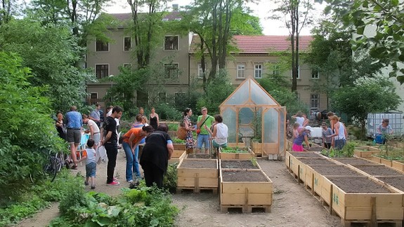 Na Pionierskej ulici vyrastie nová vinica