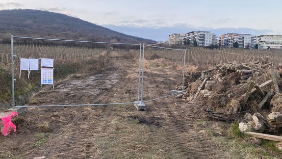 Ruch v račianskych vinohradoch: Mesto buduje asfaltku k miestu, kde developer postaví bytové domy