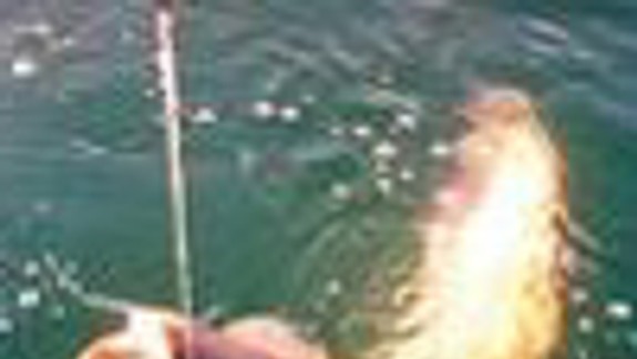 Na rybníku bude možné chytať ryby z lode