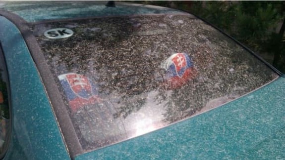 FOTO: Viacerí vodiči v Bratislave zostali zaskočení - ich autá znečistil dážď so saharským pieskom