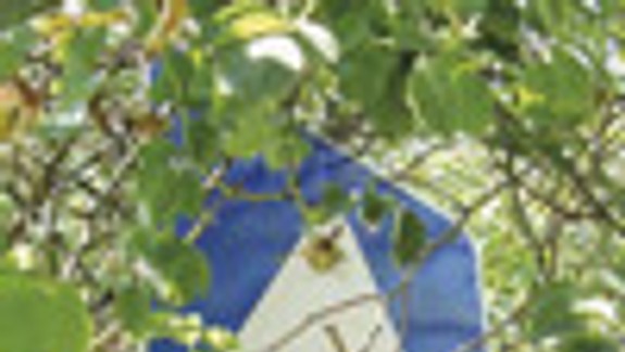 Zeleň nesmie zakrývať dopravné značky