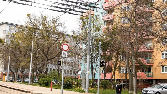 Prečo idú rúbať stromy a kríky v bratislavských parčíkoch? Vysvetlenie kauzy vás asi prekvapí