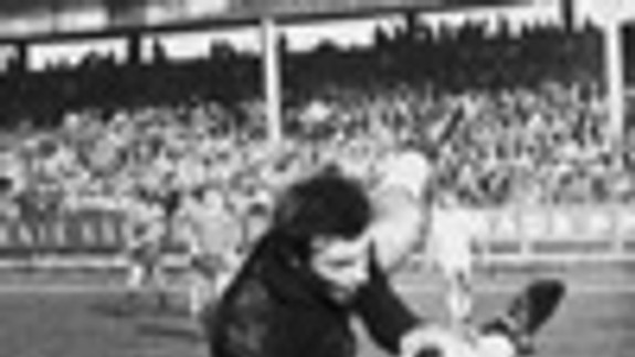 Na bratislavský trón sa pomaly dostal futbal