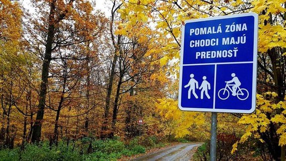 Konflikty medzi chodcami a cyklistami: V mestských lesoch vymedzili pomalé zóny