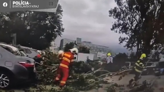 Výčiny počasia: Na Bajkalskej popadali na zaparkované autá konáre stromov