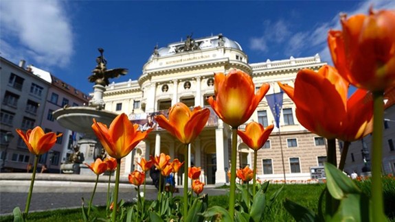 Jar v Bratislave robia aj tisícky kvetov