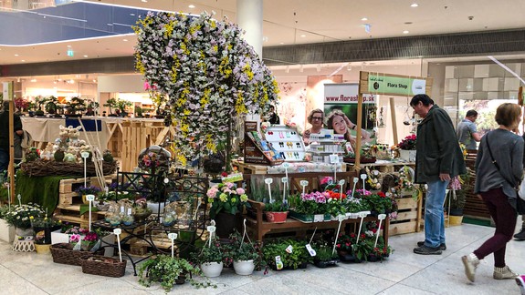 Oslava jari v Bory Mall. Inšpirujte sa trendmi zo sveta kvetín na Festivale záhrad