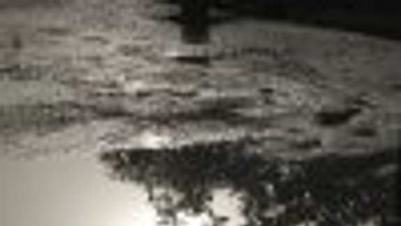 Drevené palety prechod cez mláku neurobili