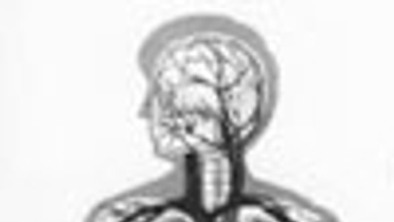 Aj z tejto hodiny som odchádzal ako teoretik