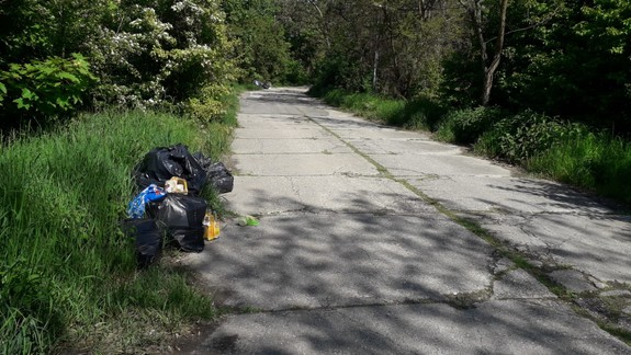 Máte záujem? Môžete sa zapojiť do veľkého upratovania chránených lesov pri Dunaji v Petržalke