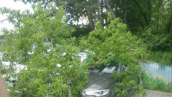 FOTO: Na Námestí slobody spadol strom na zaparkované auto...