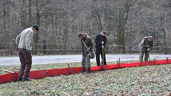 Nemáte program na sobotu? Na Železnej studienke môžete zachrániť život žabám